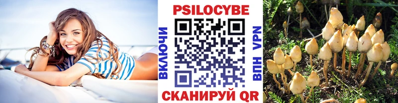 MEGA ССЫЛКА  дарк нет официальный сайт  Галлюциногенные грибы прущие грибы  Усть-Илимск 