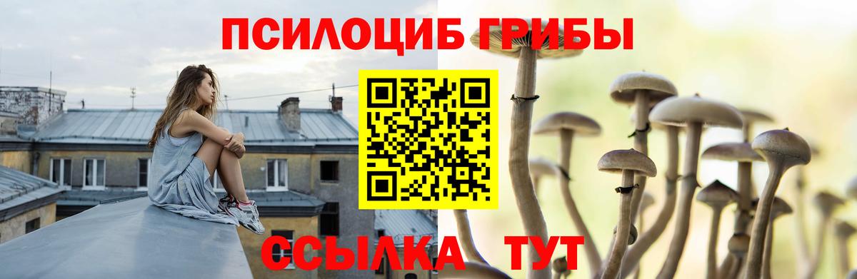 Псилоцибиновые грибы мухоморы  как найти закладки  Усть-Илимск  Вход с VPN  Псилоцибиновые грибы GOLDEN TEACHER 