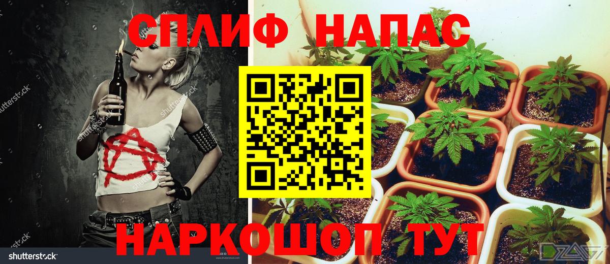 Бошки марихуана тримм Усть-Илимск
